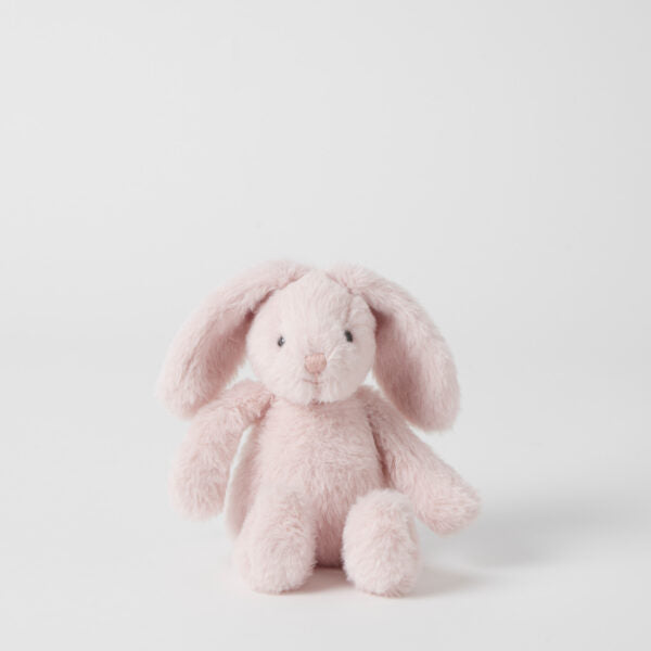 Small Soft Bunny Various Colours