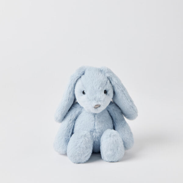 Small Soft Bunny