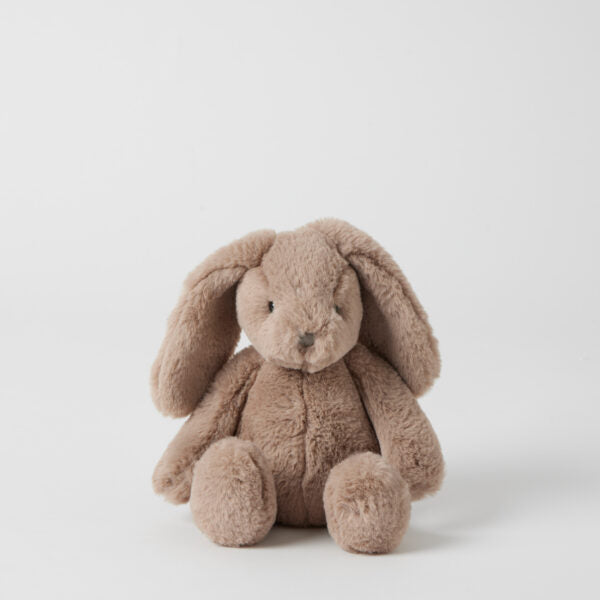 Small Soft Bunny